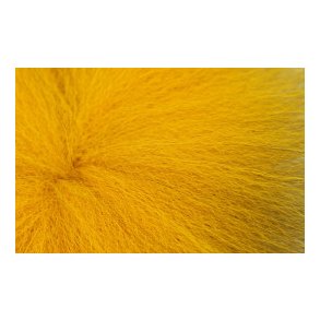 Future Fly Golden Fox