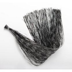 Grizzly Barred Flash