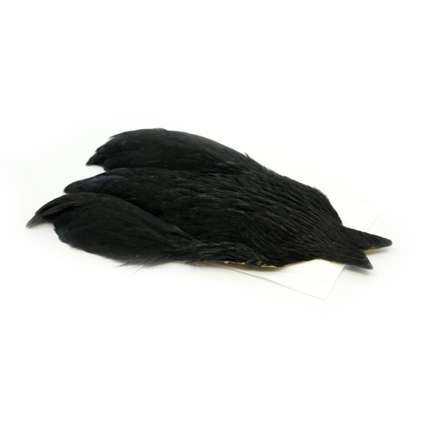Whiting 4b Hen cape 