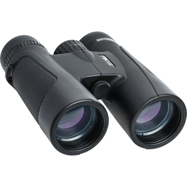  Focus Bright 10x42