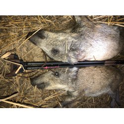 Mjoelner Hunting Skydestok Fenris II Carbon