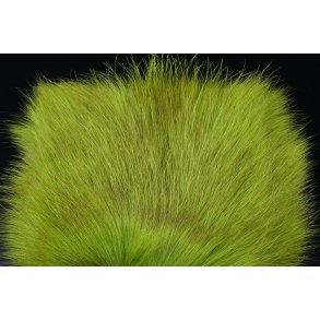 FF Amerikansk Opossum BG Green