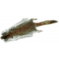 Future Fly Squirrel Egern Skind