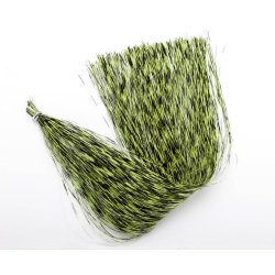 Grizzly Barred Flash