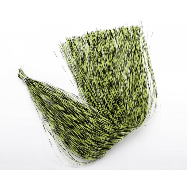 Grizzly Barred Flash