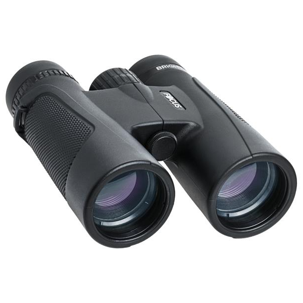 Focus Bright 8x42