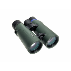 Focus Observer Hndkikkert