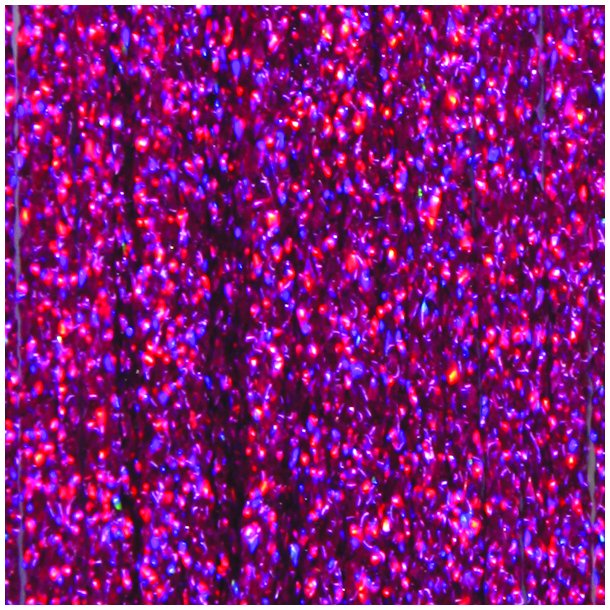 Fr&ouml;dinflies SSS Holo Braid