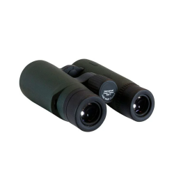 Focus Observer Hndkikkert