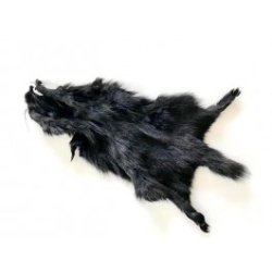 Future Fly Squirrel Egern Skind