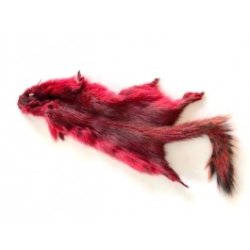 Future Fly Squirrel Egern Skind