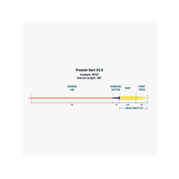 Rio Premier Dart V2.0 WF