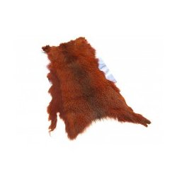 Future Fly Squirrel Egern Skind