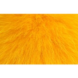 Future Fly Shadow fox