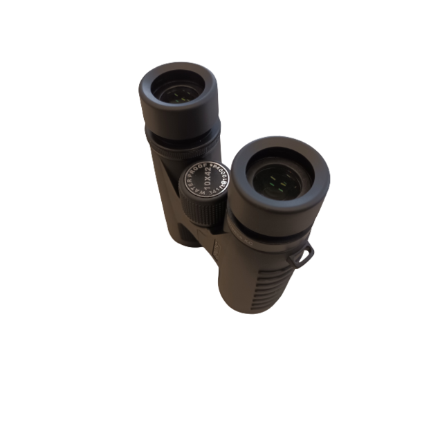 Focus Zenith Hndkikkert