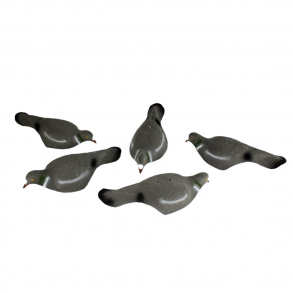 Lokkedue Skal med flock