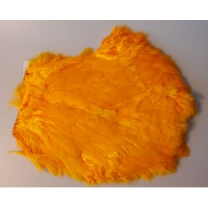 Magnum Henback sunburst yellow