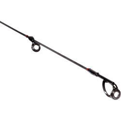 Quantum Magic Trout Cito