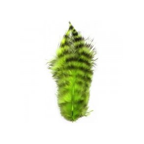 Metz Soft Hackle - Grizzly Chartreuse
