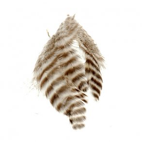 Metz Soft Hackle - Grizzly Natural