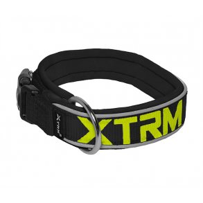 Neon Flash Collar Hundehalsbnd