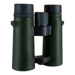 Focus Observer Hndkikkert