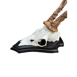 Opsatsplade 13x20,5 cm. Topjagt