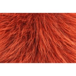 Future Fly Shadow fox