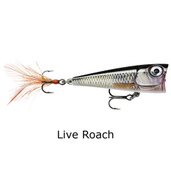 Rapala x-light pop 