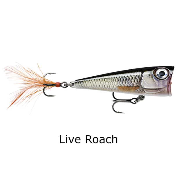 Rapala x-light pop 