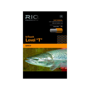 Rio Level 