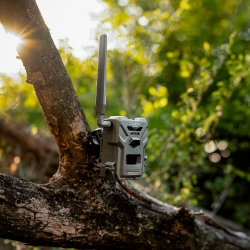 Spypoint Flex E36 Vildt video kamera - 36 MP