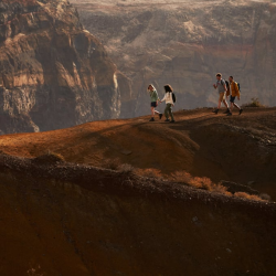 Fjllrven Fox T-shirt