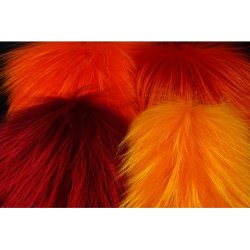 Future Fly Tanuki Skin