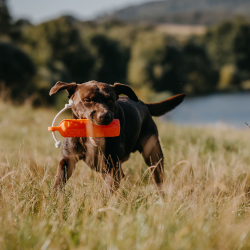 HP &amp; G Traning Bumper 380gr. Orange