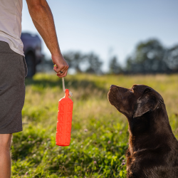 HP &amp; G Traning Bumper 380gr. Orange