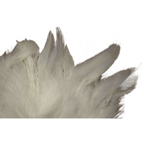 Schlappenfjer - White