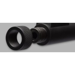 Winchester Wildcat 22LR