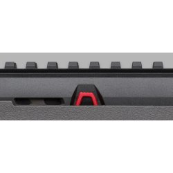 Winchester Wildcat 22LR