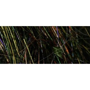 Angel dub - Smokey Olive