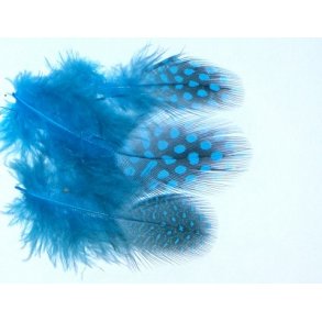 Perlehne - Kingfisher blue