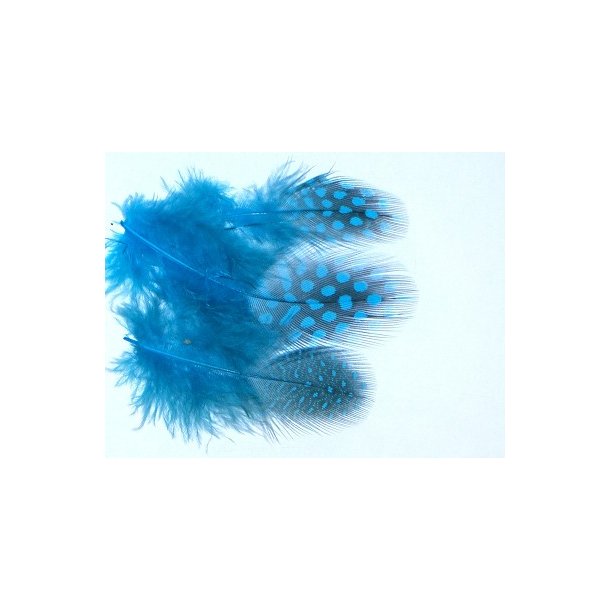 Perlehne - Kingfisher blue