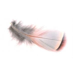 Fransk agerhne - Natural