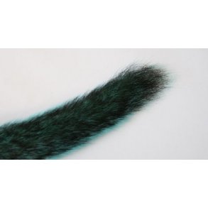 Egern hale - Kingfisher blue