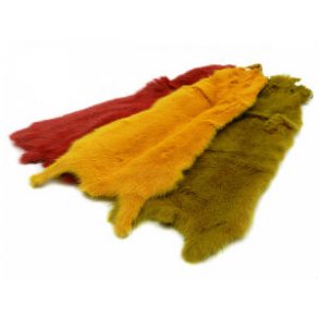 Future Australian weasel