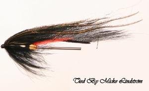 Egern zonker 2 mm