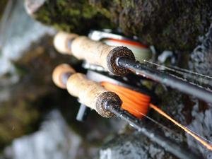 Guideline WF liner
