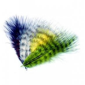Grizzly marabou