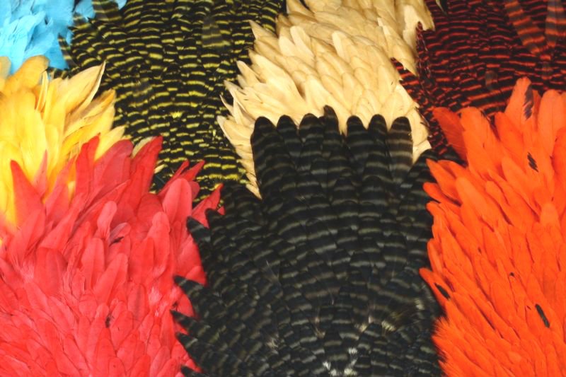 Future Signature Hen Saddle