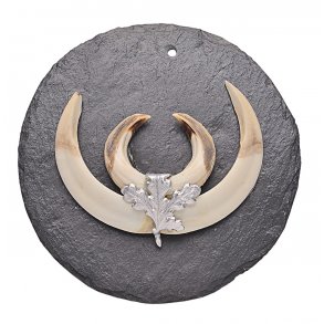 Trofæ plader i skifer